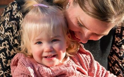 马来西亚代孕费用与其他国家对比：为何马来西亚成为性价比之王？