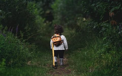 格鲁吉亚国际生育中心（GISC）的代孕技术怎么样？