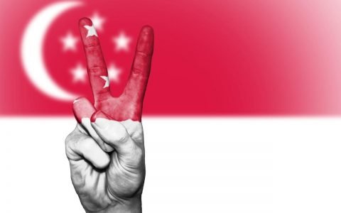 新加坡代孕多少钱？