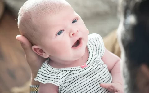 去亚美尼亚代孕多少钱？