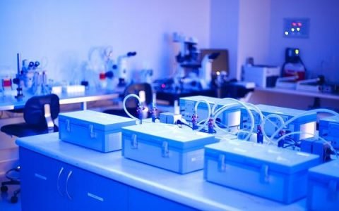 老挝是否有最先进的试管婴儿实验室？代孕技术是否成熟？
