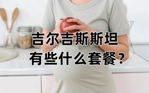 吉尔吉斯代孕有些什么套餐？哪种最适合普通家庭？
