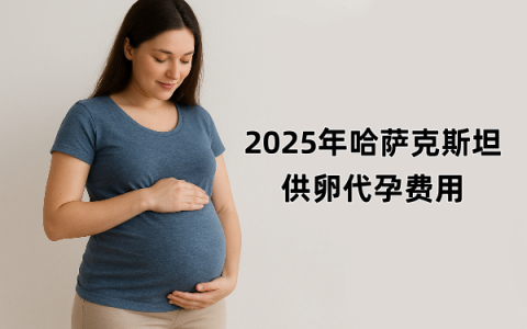 2025年哈萨克斯坦供卵代孕费用是多少？
