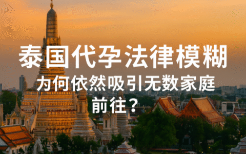 泰国代孕法律模糊为何依然吸引无数家庭前往？
