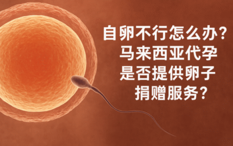 自卵不行怎么办？马来西亚代孕是否提供卵子捐赠服务？