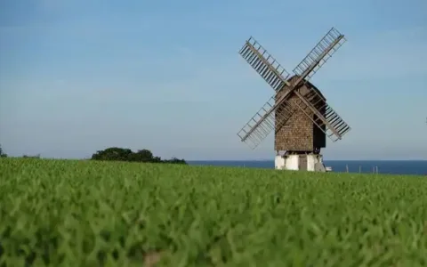 丹麦代孕合法吗？