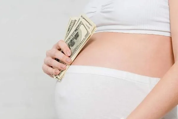 代孕母亲补偿费