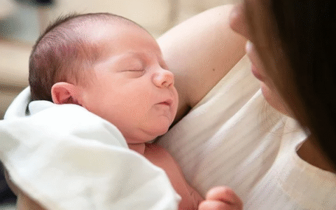 职场女性如何安排代孕时间