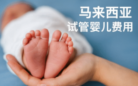 马来西亚试管婴儿需要多少钱