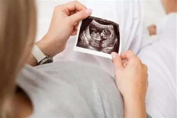 双胎代孕是否影响办证？